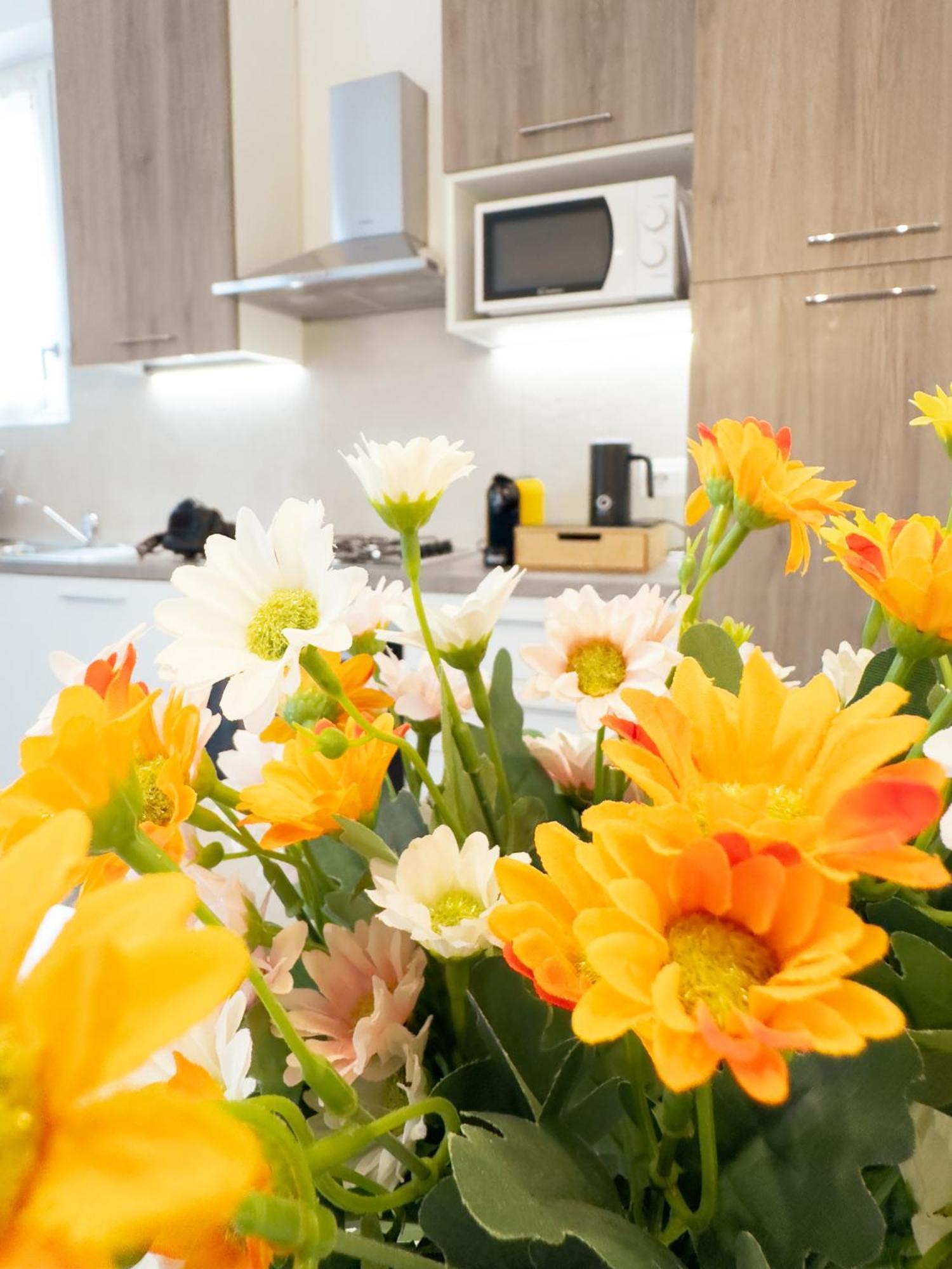 Comfort Apartment ורונה מראה חיצוני תמונה
